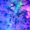 紫陽花クラゲ