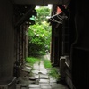 涼を、求めて。