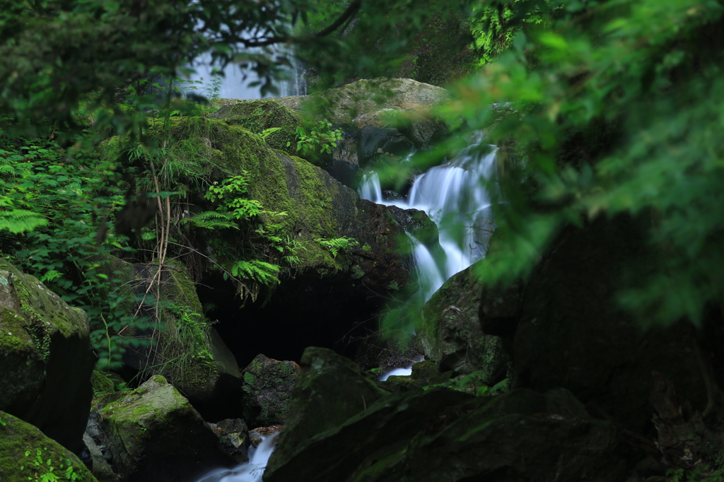 養老の流れ