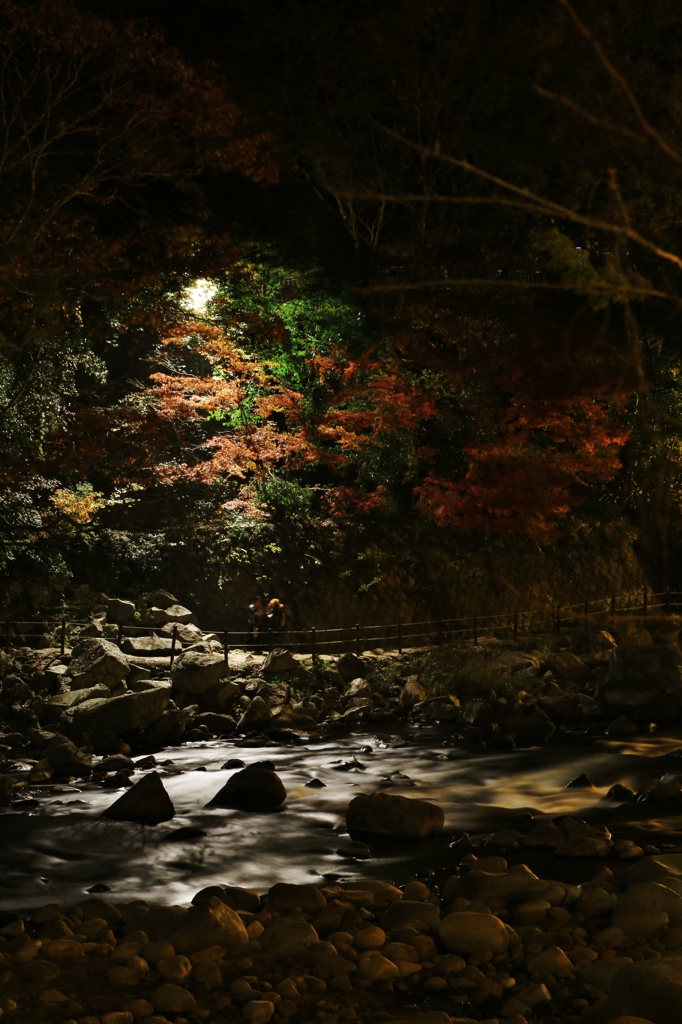 川越しの紅葉