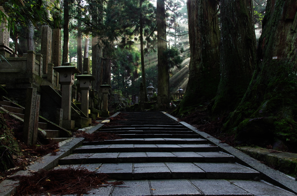 奥の院へつづく道