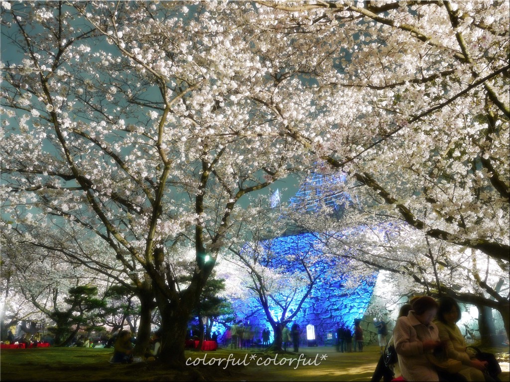舞鶴公園