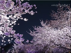 P1070935のコピー