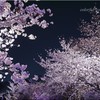 P1070935のコピー