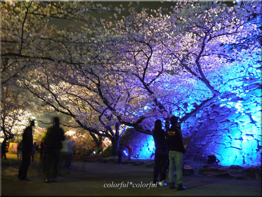 舞鶴公園