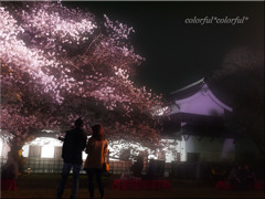 舞鶴公園