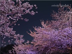 P1070931のコピー
