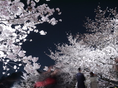 舞鶴公園
