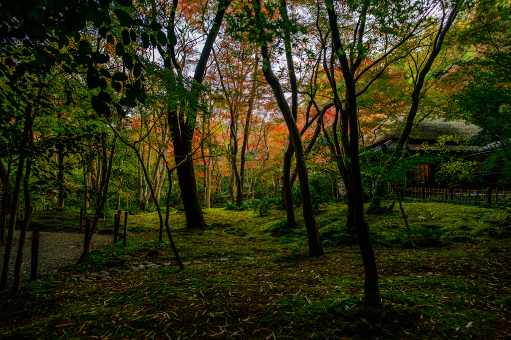 祇王寺　奥から