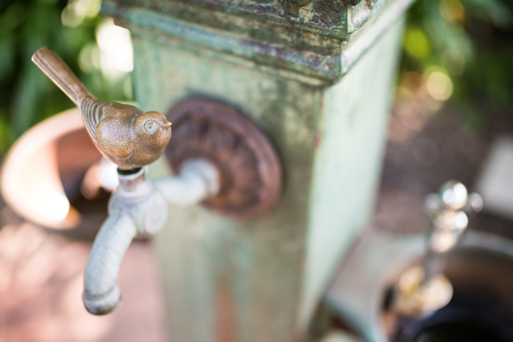 sigma 35mm f1.4試し撮り　2