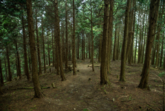 京都一周トレイル北山⑥