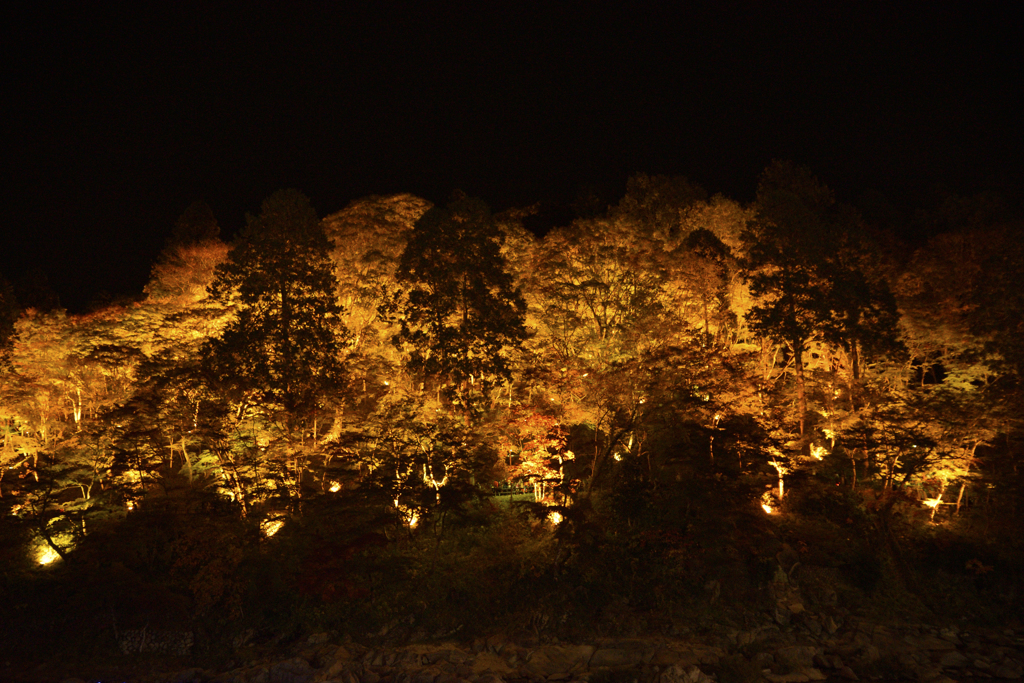 紅葉ライトアップ＠香嵐渓２１