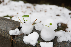 雪だるまの親子