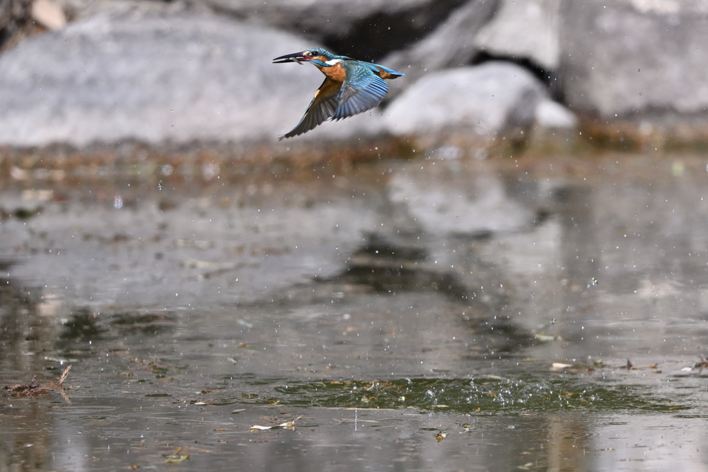 めっちゃ嬉しそうでした_DSC1945_42