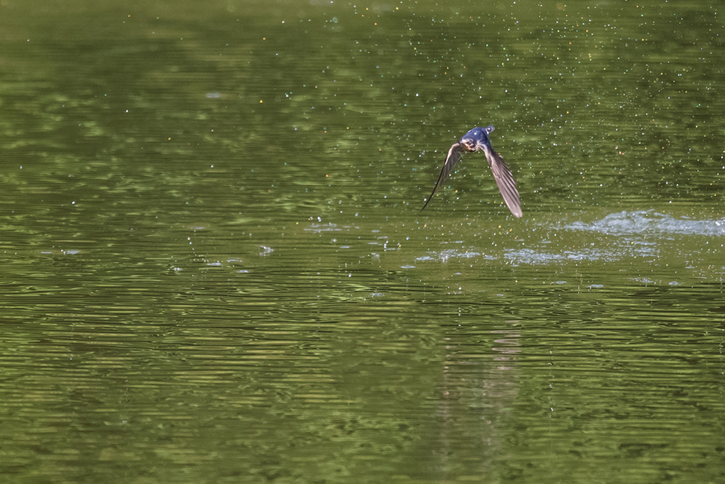 水しぶき上げて2