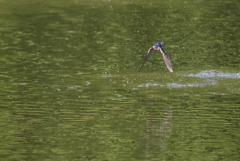 水しぶき上げて2