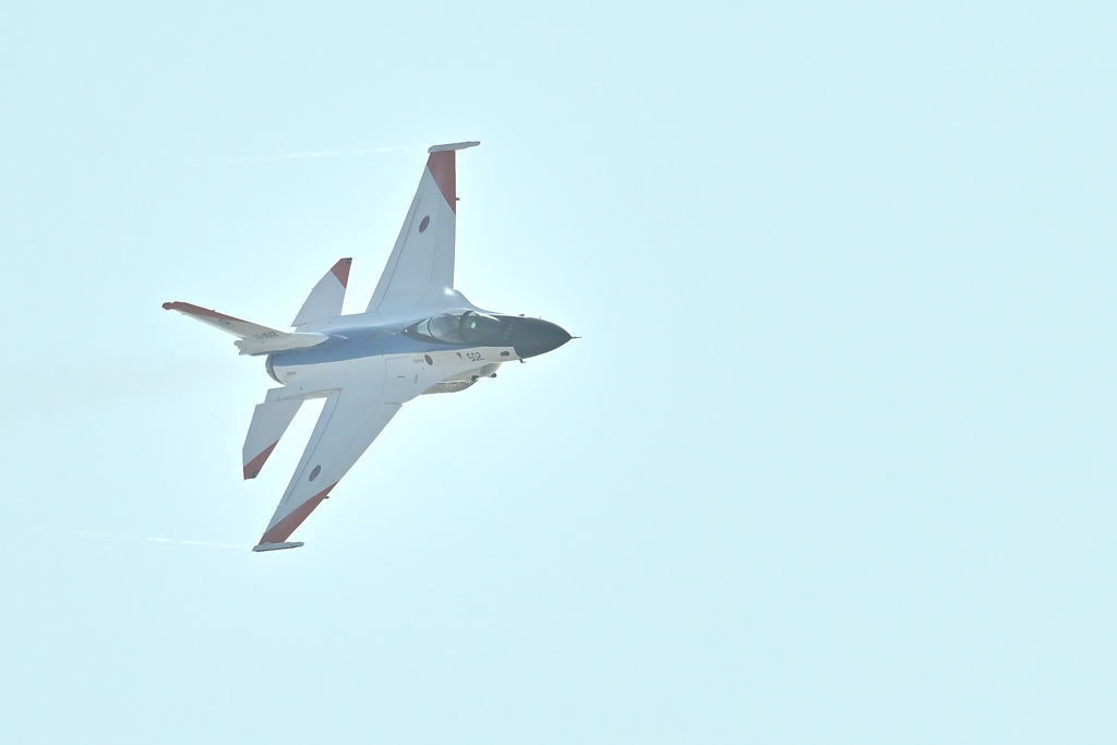 DSC_8464