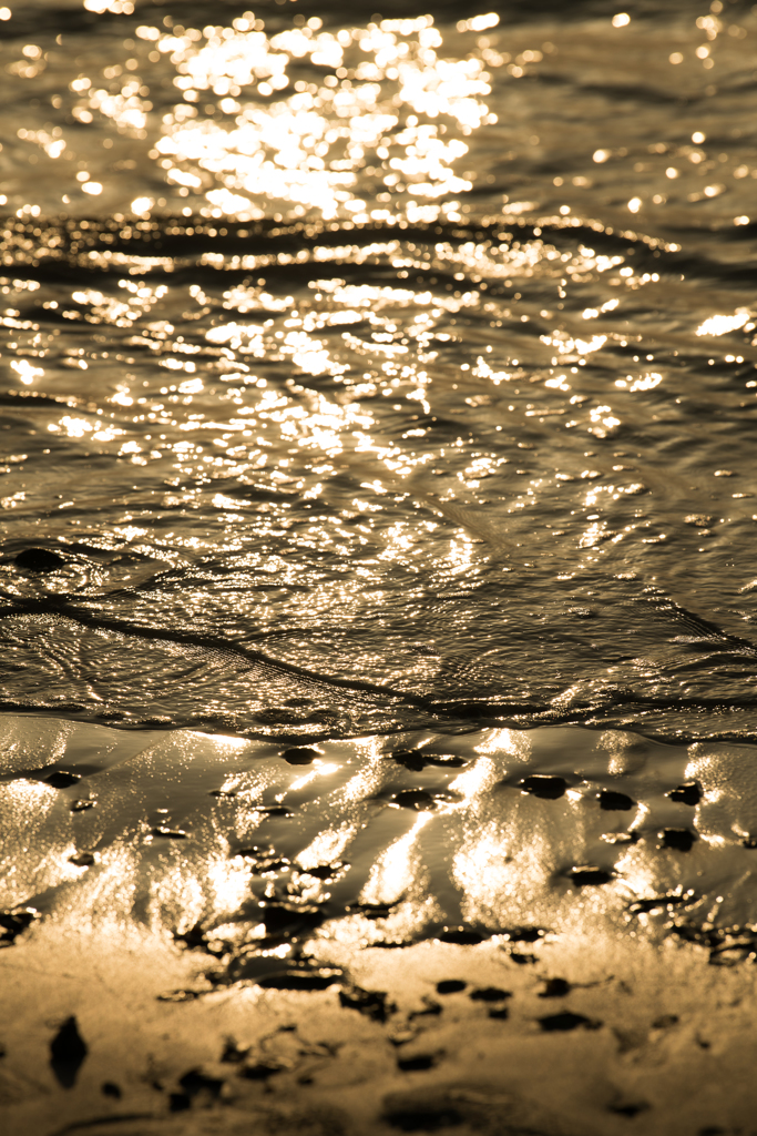 黄金色の波打ち際