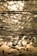 黄金色の波打ち際