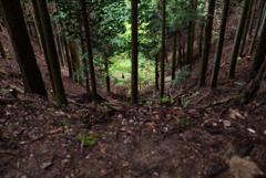 京都一周トレイル北山⑦