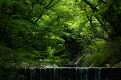 川で涼を感じる2