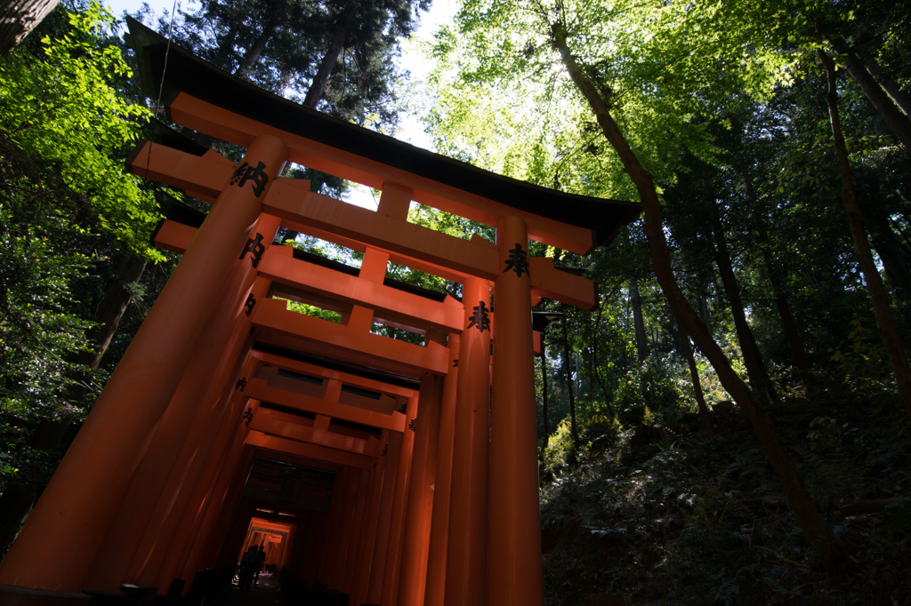 鳥居