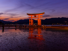 厳島　鳥居