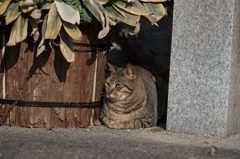 茶番③　ふてくされ