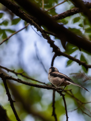 お空を見上げて
