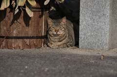 茶番④　目で訴える