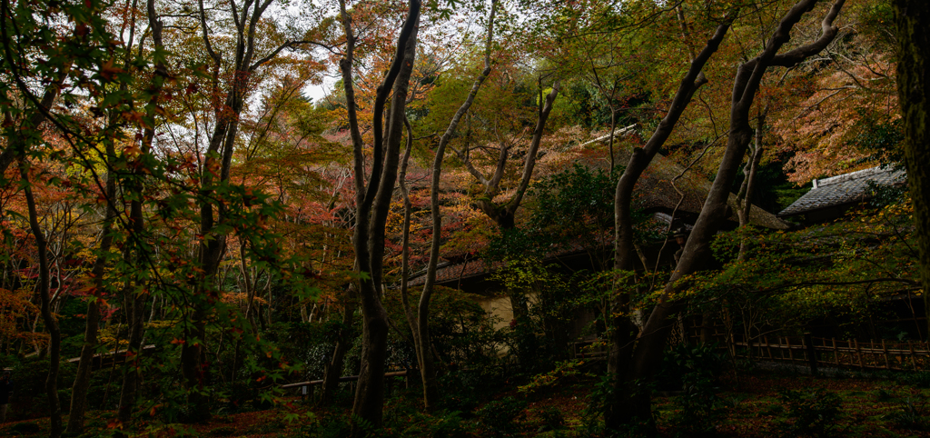 祇王寺