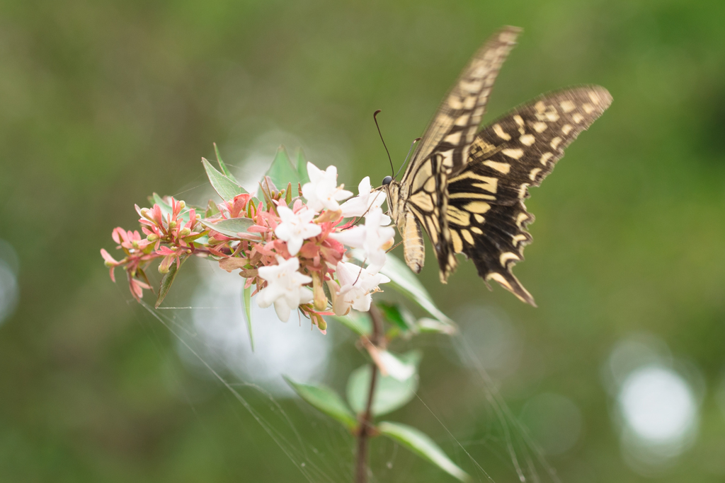 危険と隣り合わせ