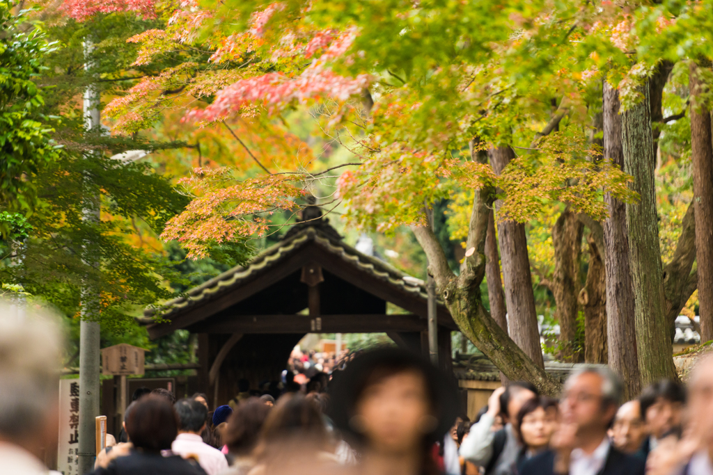 臥雲橋の人ごみ