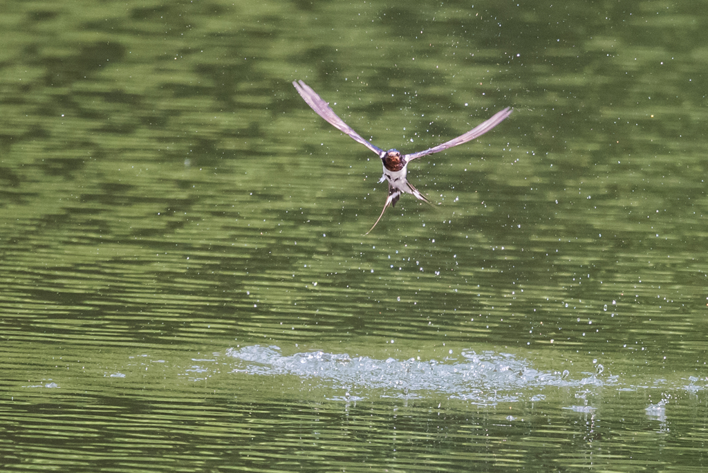 水しぶき上げて3