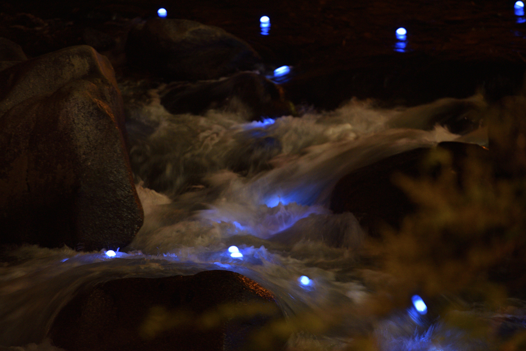 紅葉ライトアップ＠香嵐渓２２