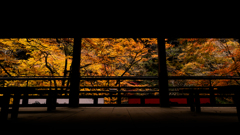 額縁風景5
