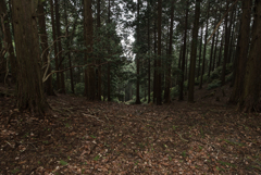 京都一周トレイル北山④