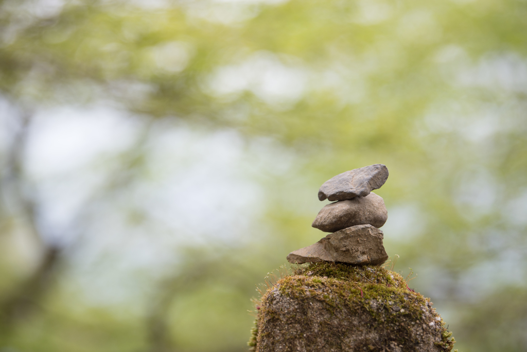京都一周トレイル北山