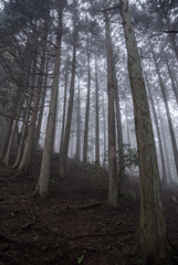 京都一周トレイル北山①