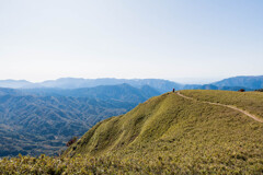 竜ヶ岳(三重)山頂付近02
