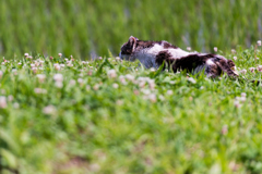 静かにてっしゅー