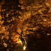 紅葉ライトアップ＠香嵐渓１９