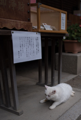 お願いします・・・