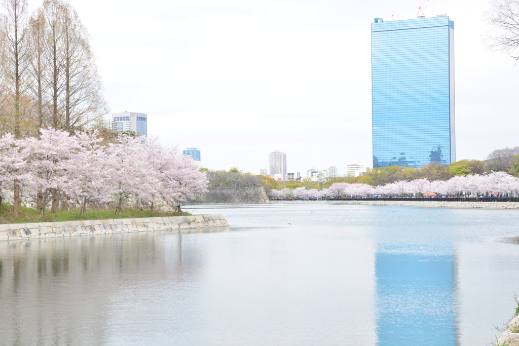 大阪城の春