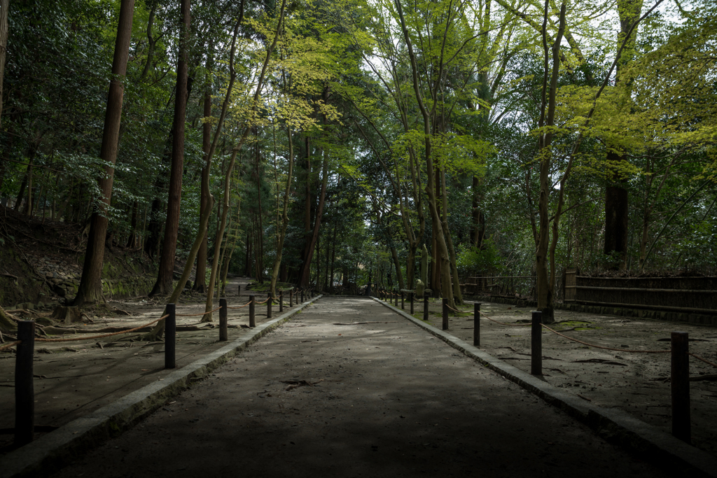 法然寺　入口付近