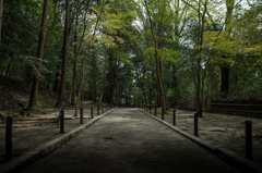 法然寺　入口付近