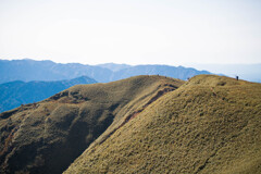 竜ヶ岳(三重)山頂付近05