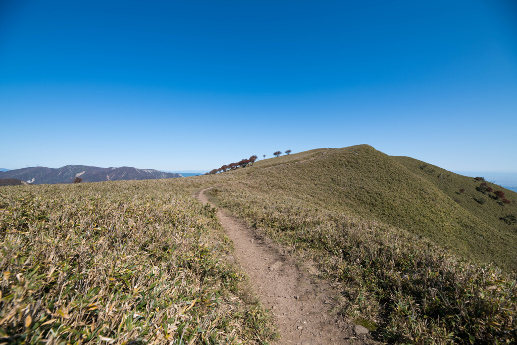 竜ヶ岳(三重)山頂付近01