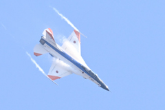 DSC_8261