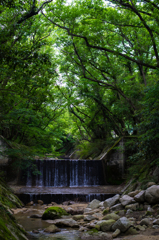 川で涼を感じる